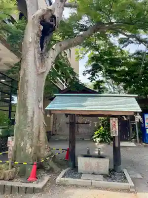 亀岡八幡宮(亀岡八幡神社)(神奈川県)