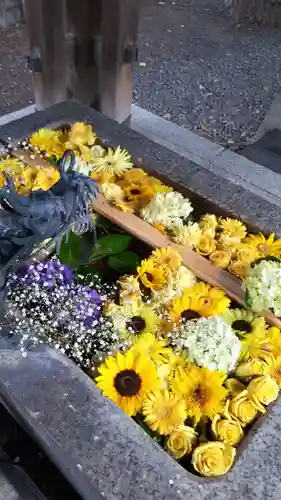 札幌諏訪神社の手水