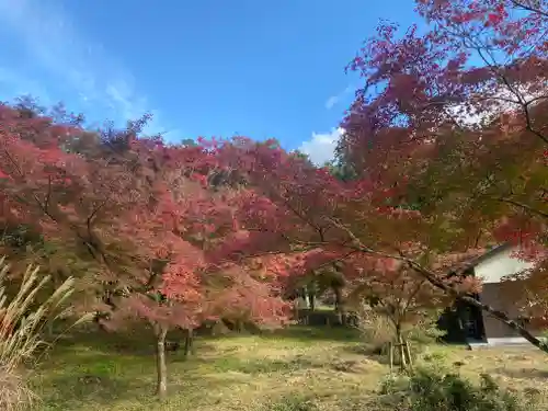 高山寺(兵庫県)