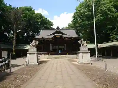 荻窪八幡神社の本殿・本堂