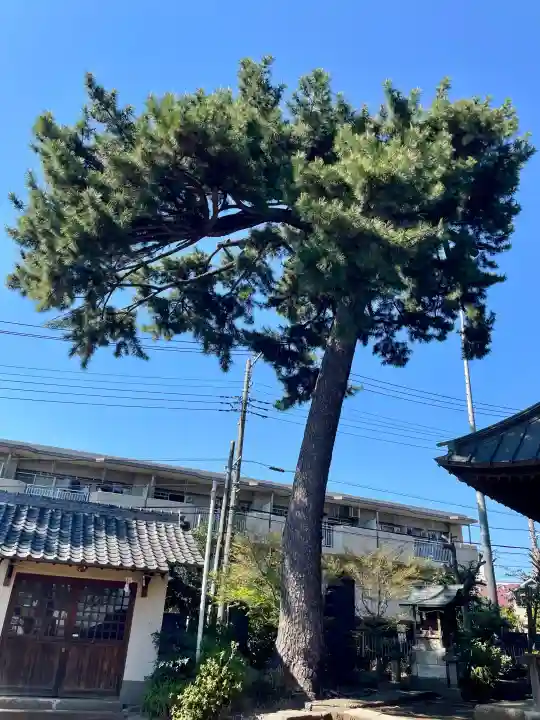 東伏見氷川神社の{uncategorized: "未分類", other: "その他", undefined: "問題あり", building: "その他建物", grave: "お墓", sacred_gate: "鳥居", guardian: "狛犬", statue: "像", buddha: "仏像", history: "歴史", nature: "自然", garden: "庭園", animal: "動物", pagoda: "塔", temizu: "手水舎", mountain_gate: "山門・神門", sanctuary: "本殿・本堂", subordinate: "末社・摂社", art: "芸術", scenery: "景色", jizo: "地蔵", ema: "絵馬", goshuin: "御朱印", omikuji: "おみくじ", items: "授与品その他", amulet: "お守り", goshuincho: "御朱印帳", eats: "食事", festival: "お祭り", votive_dance: "神楽", shichigosan: "七五三参", wedding: "結婚式", experience: "体験その他", initially: "初詣", around: "周辺", anti_infection: "感染症対策"}