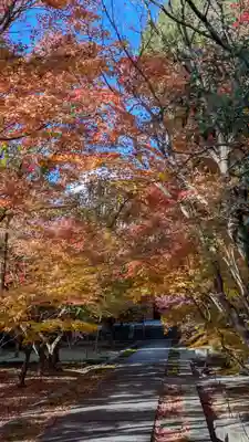 興聖寺(京都府)