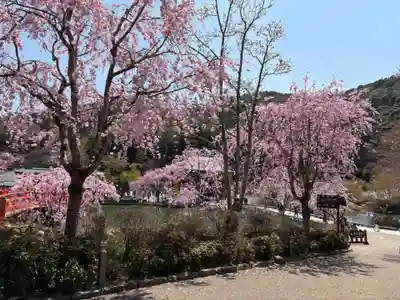 勝尾寺(大阪府)