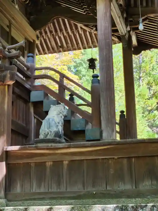 春日神社の狛犬
