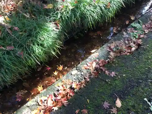 大前神社の周辺