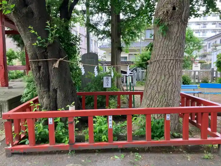 子安神社の{uncategorized: "未分類", other: "その他", undefined: "問題あり", building: "その他建物", grave: "お墓", sacred_gate: "鳥居", guardian: "狛犬", statue: "像", buddha: "仏像", history: "歴史", nature: "自然", garden: "庭園", animal: "動物", pagoda: "塔", temizu: "手水舎", mountain_gate: "山門・神門", sanctuary: "本殿・本堂", subordinate: "末社・摂社", art: "芸術", scenery: "景色", jizo: "地蔵", ema: "絵馬", goshuin: "御朱印", omikuji: "おみくじ", items: "授与品その他", amulet: "お守り", goshuincho: "御朱印帳", eats: "食事", festival: "お祭り", votive_dance: "神楽", shichigosan: "七五三参", wedding: "結婚式", experience: "体験その他", initially: "初詣", around: "周辺", anti_infection: "感染症対策"}