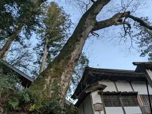 丹生川上神社（下社）の{uncategorized: "未分類", other: "その他", undefined: "問題あり", building: "その他建物", grave: "お墓", sacred_gate: "鳥居", guardian: "狛犬", statue: "像", buddha: "仏像", history: "歴史", nature: "自然", garden: "庭園", animal: "動物", pagoda: "塔", temizu: "手水舎", mountain_gate: "山門・神門", sanctuary: "本殿・本堂", subordinate: "末社・摂社", art: "芸術", scenery: "景色", jizo: "地蔵", ema: "絵馬", goshuin: "御朱印", omikuji: "おみくじ", items: "授与品その他", amulet: "お守り", goshuincho: "御朱印帳", eats: "食事", festival: "お祭り", votive_dance: "神楽", shichigosan: "七五三参", wedding: "結婚式", experience: "体験その他", initially: "初詣", around: "周辺", anti_infection: "感染症対策"}