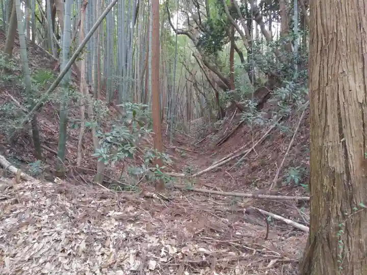 松尾神社の周辺