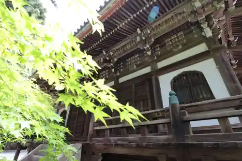 播州清水寺の本殿