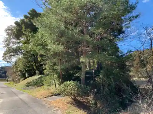 八坂神社の自然