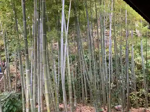 長谷寺(神奈川県)