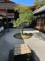 建仁寺(建仁禅寺)(京都府)