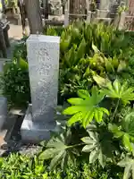 妙円寺のその他建物