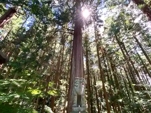 三嶽神社(長野県)