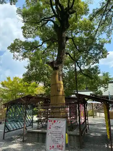 水無瀬神宮(大阪府)