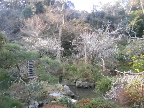 光則寺の庭園