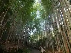 真福寺の周辺