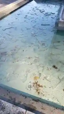 高幡不動尊　金剛寺(東京都)