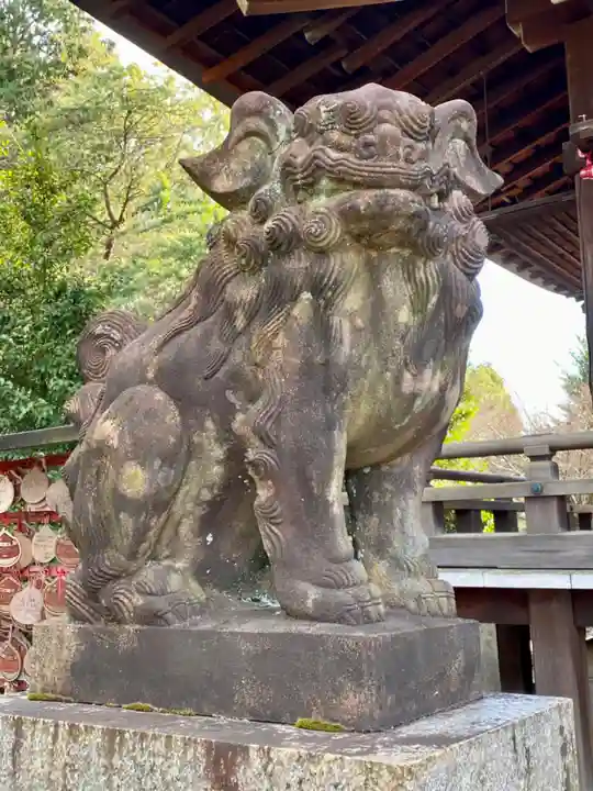 京都乃木神社の狛犬
