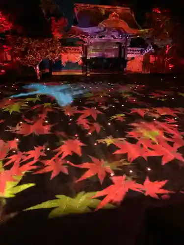 高台寺（高台寿聖禅寺・高臺寺）(京都府)