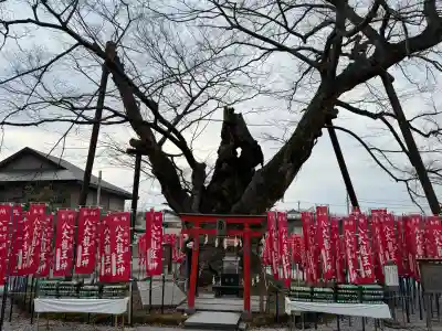 秩父今宮神社の{uncategorized: "未分類", other: "その他", undefined: "問題あり", building: "その他建物", grave: "お墓", sacred_gate: "鳥居", guardian: "狛犬", statue: "像", buddha: "仏像", history: "歴史", nature: "自然", garden: "庭園", animal: "動物", pagoda: "塔", temizu: "手水舎", mountain_gate: "山門・神門", sanctuary: "本殿・本堂", subordinate: "末社・摂社", art: "芸術", scenery: "景色", jizo: "地蔵", ema: "絵馬", goshuin: "御朱印", omikuji: "おみくじ", items: "授与品その他", amulet: "お守り", goshuincho: "御朱印帳", eats: "食事", festival: "お祭り", votive_dance: "神楽", shichigosan: "七五三参", wedding: "結婚式", experience: "体験その他", initially: "初詣", around: "周辺", anti_infection: "感染症対策"}