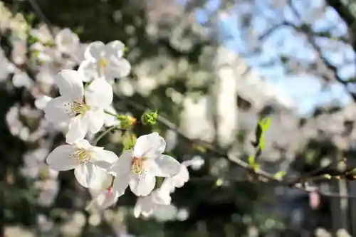 くまくま神社(導きの社 熊野町熊野神社)の自然
