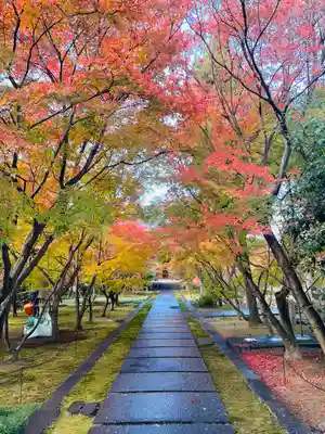興聖寺(京都府)