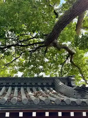 阿保神社(大阪府)