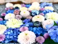 川越八幡宮(埼玉県)