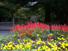 雲巌寺(栃木県)