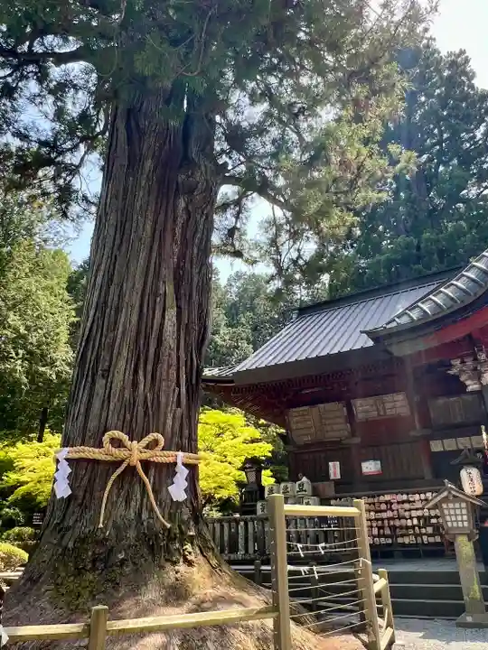 北口本宮冨士浅間神社(山梨県)