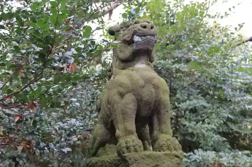 愛宕神社の狛犬