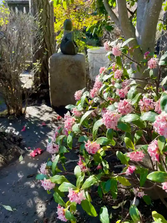 浄正寺の{uncategorized: "未分類", other: "その他", undefined: "問題あり", building: "その他建物", grave: "お墓", sacred_gate: "鳥居", guardian: "狛犬", statue: "像", buddha: "仏像", history: "歴史", nature: "自然", garden: "庭園", animal: "動物", pagoda: "塔", temizu: "手水舎", mountain_gate: "山門・神門", sanctuary: "本殿・本堂", subordinate: "末社・摂社", art: "芸術", scenery: "景色", jizo: "地蔵", ema: "絵馬", goshuin: "御朱印", omikuji: "おみくじ", items: "授与品その他", amulet: "お守り", goshuincho: "御朱印帳", eats: "食事", festival: "お祭り", votive_dance: "神楽", shichigosan: "七五三参", wedding: "結婚式", experience: "体験その他", initially: "初詣", around: "周辺", anti_infection: "感染症対策"}