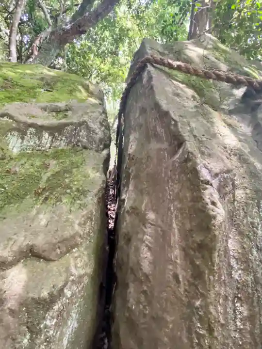 神谷神社の自然