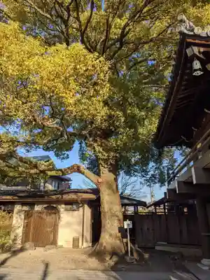 薬師山 林昌寺のその他建物
