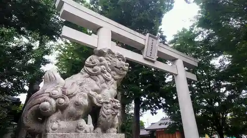 阿豆佐味天神社 立川水天宮の狛犬