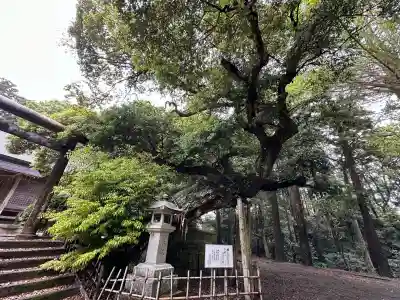 莫越山神社(千葉県)