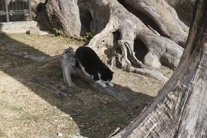 五宮神社の動物