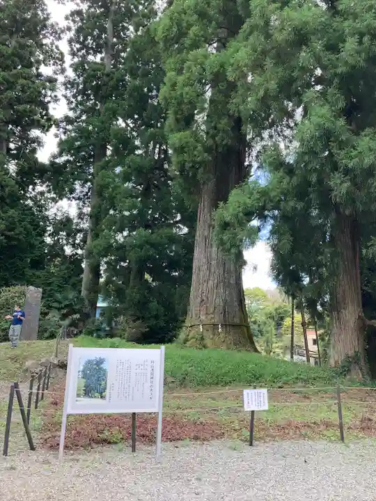 村山浅間神社(静岡県)
