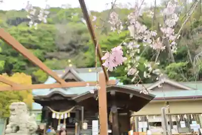 根岸八幡神社(神奈川県)