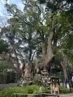 來宮神社の{uncategorized: "未分類", other: "その他", undefined: "問題あり", building: "その他建物", grave: "お墓", sacred_gate: "鳥居", guardian: "狛犬", statue: "像", buddha: "仏像", history: "歴史", nature: "自然", garden: "庭園", animal: "動物", pagoda: "塔", temizu: "手水舎", mountain_gate: "山門・神門", sanctuary: "本殿・本堂", subordinate: "末社・摂社", art: "芸術", scenery: "景色", jizo: "地蔵", ema: "絵馬", goshuin: "御朱印", omikuji: "おみくじ", items: "授与品その他", amulet: "お守り", goshuincho: "御朱印帳", eats: "食事", festival: "お祭り", votive_dance: "神楽", shichigosan: "七五三参", wedding: "結婚式", experience: "体験その他", initially: "初詣", around: "周辺", anti_infection: "感染症対策"}