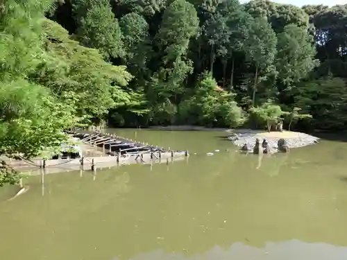 浄瑠璃寺の庭園