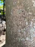 手力雄神社(岐阜県)