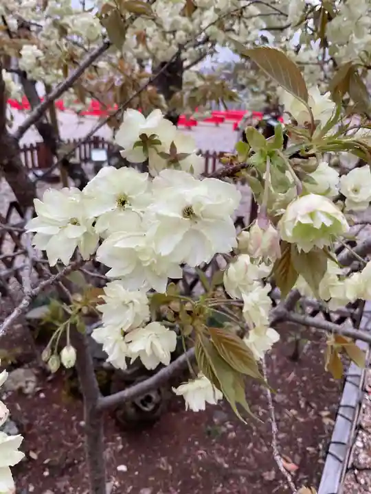 上地八幡宮(愛知県)