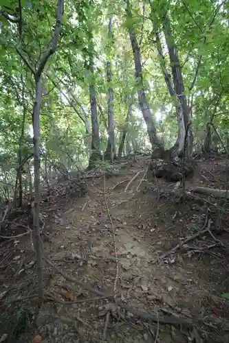 武蔵二宮 金鑚神社(埼玉県)