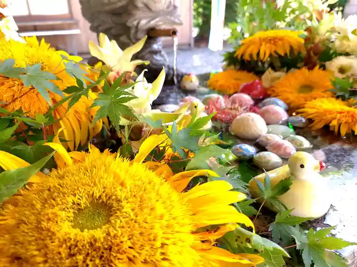 滑川神社 - 仕事と子どもの守り神の手水舎