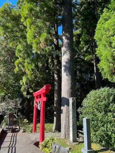 須山浅間神社の鳥居