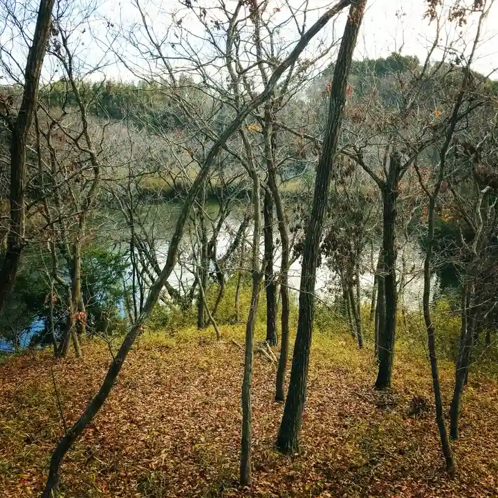大生神社の自然