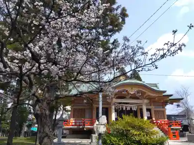 櫻谷神社(福井県)