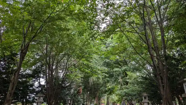 深川神社の自然